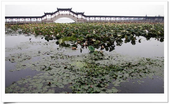 [推荐]“走近远方 走近锦溪”2011锦溪全国博客邀请赛