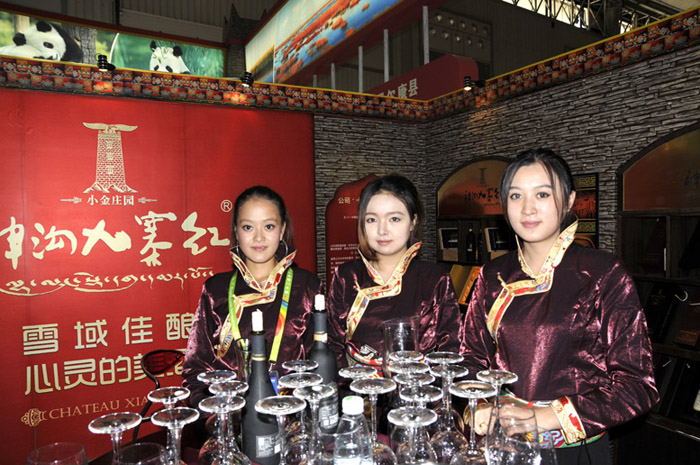 西博会上的民族服饰