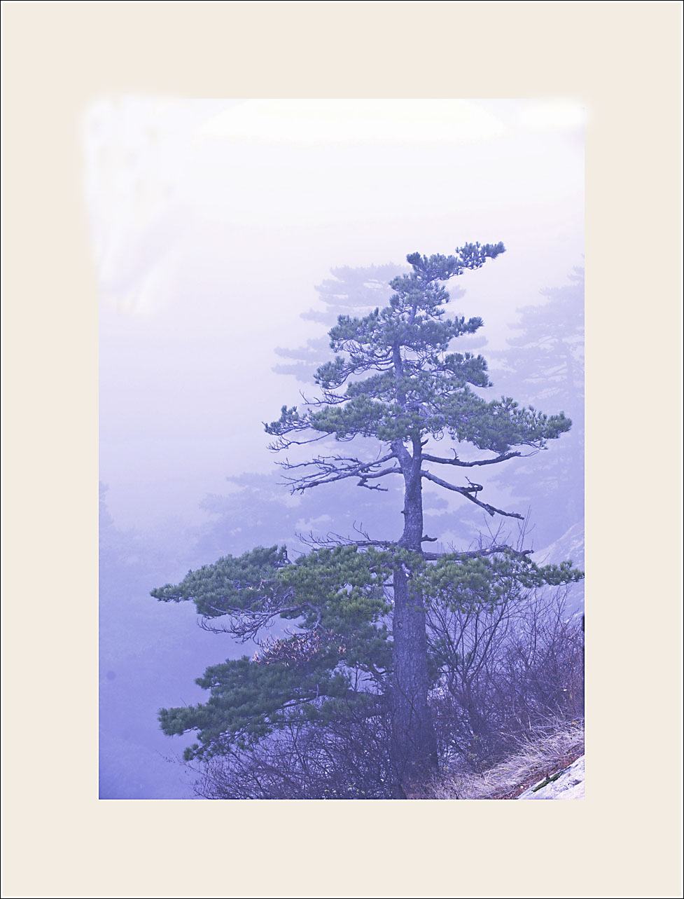 华山风光