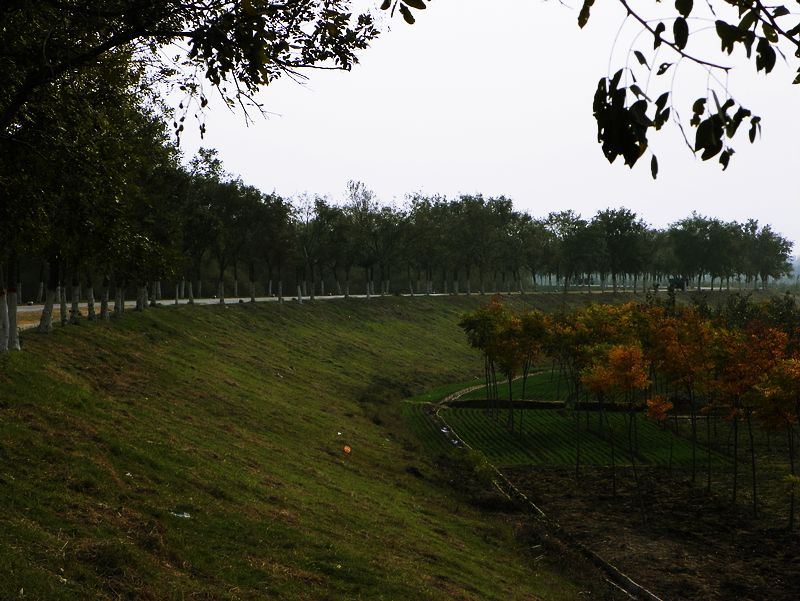 黄河岸边
