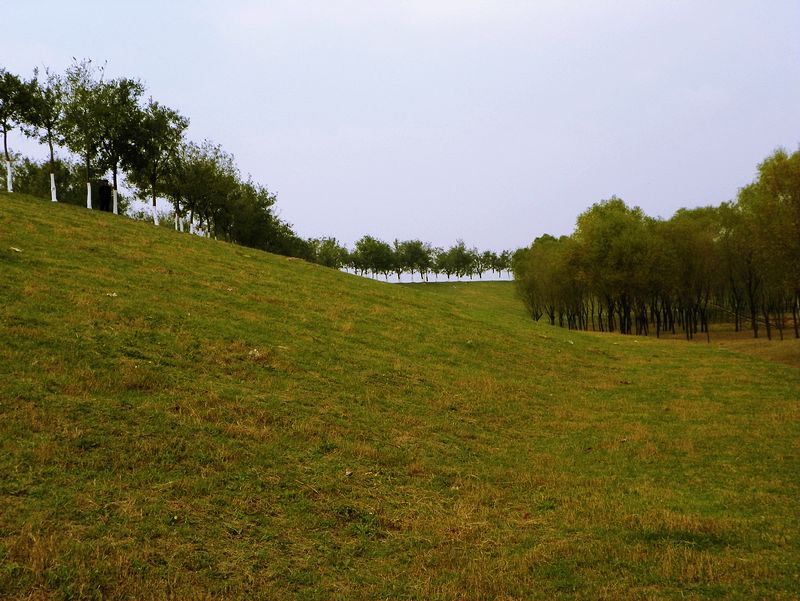 黄河岸边