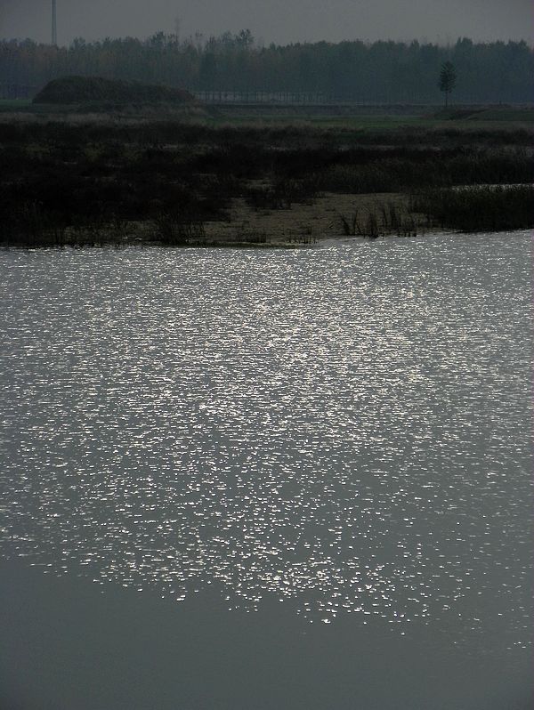 黄河岸边