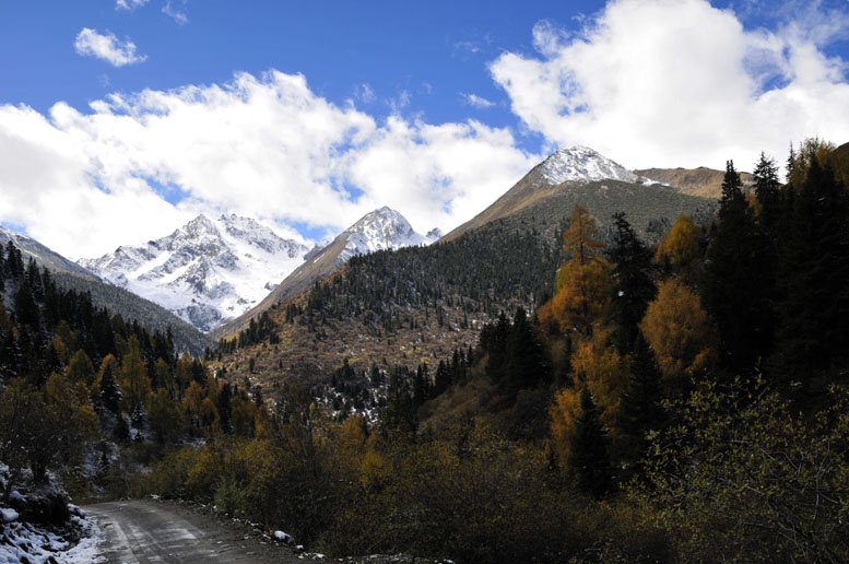 米亚罗风光