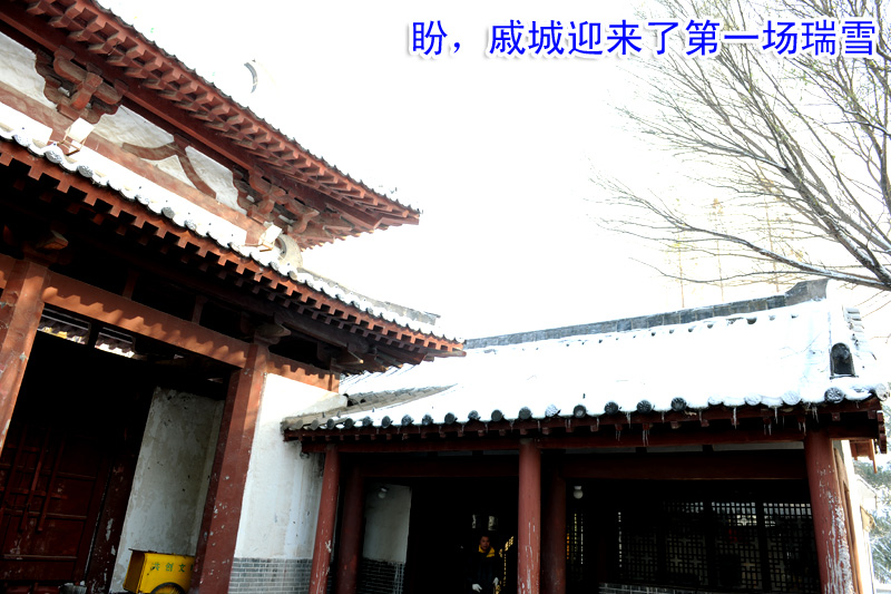 戚城瑞雪