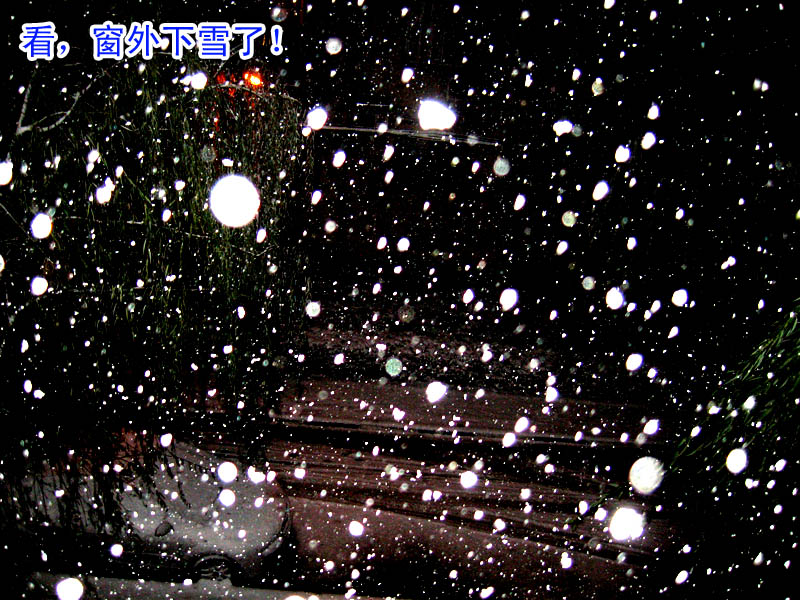 戚城瑞雪