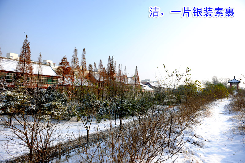 戚城瑞雪