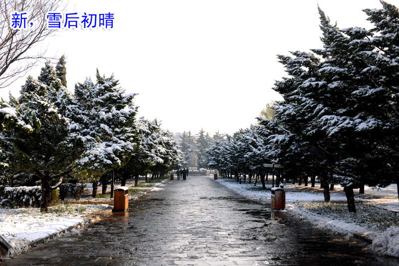 戚城瑞雪