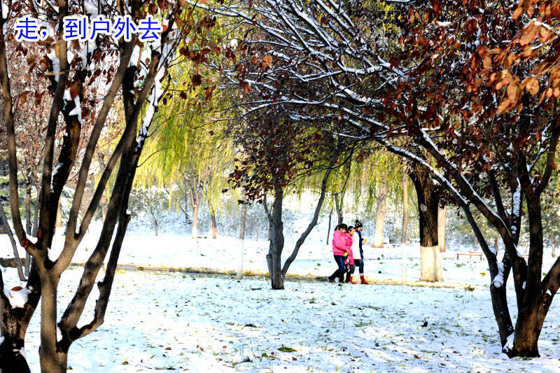 戚城瑞雪