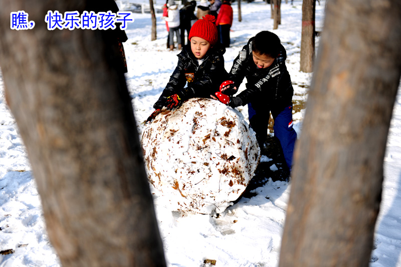戚城瑞雪