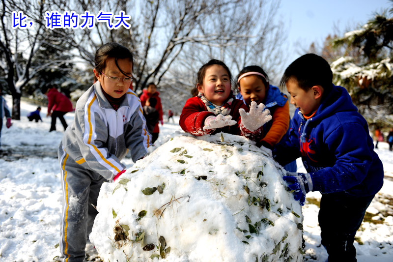 戚城瑞雪