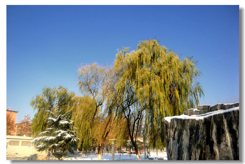【瑞 雪】 ........ 下篇