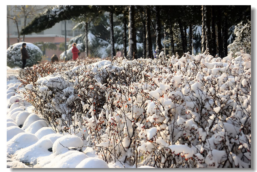 【瑞 雪】 ........ 下篇