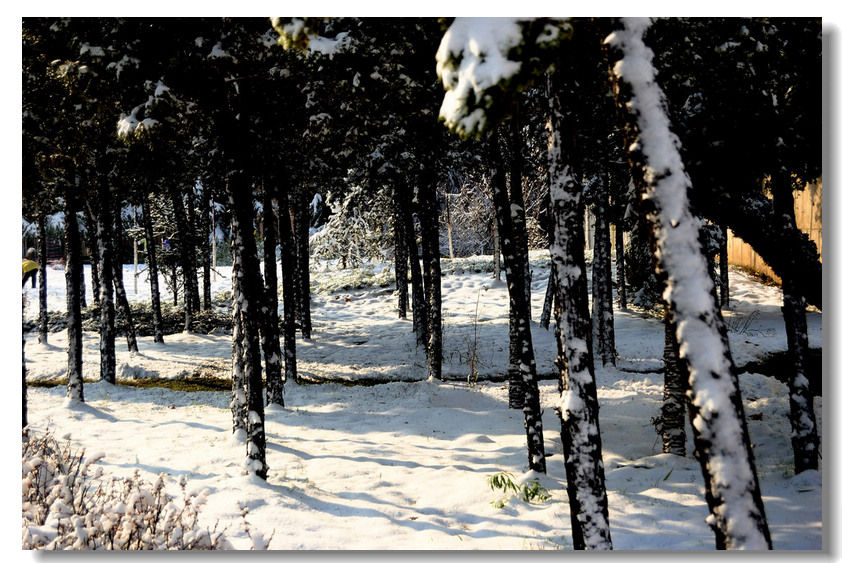 【瑞 雪】 ........ 下篇