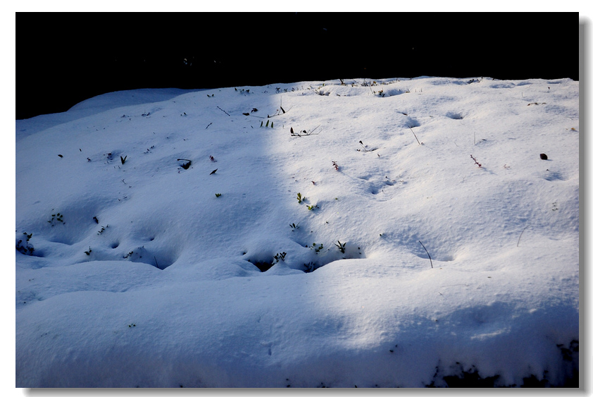 【瑞 雪】 ........ 下篇