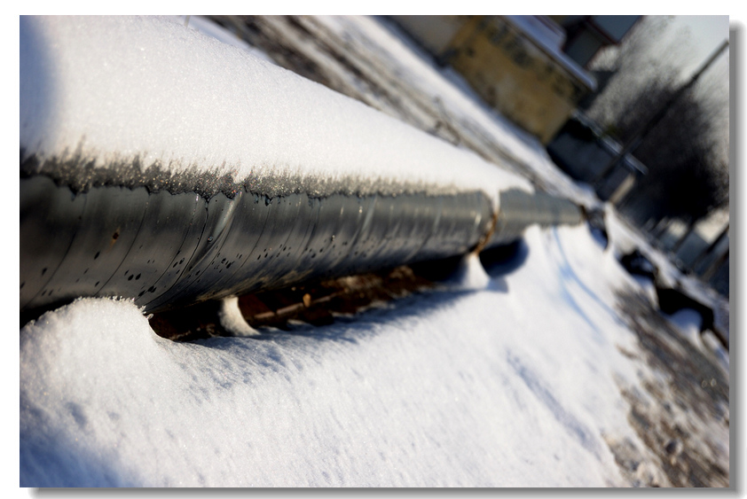 【瑞 雪】 ........ 下篇
