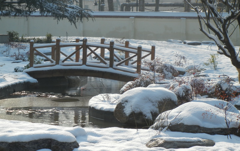 2011年第一场雪
