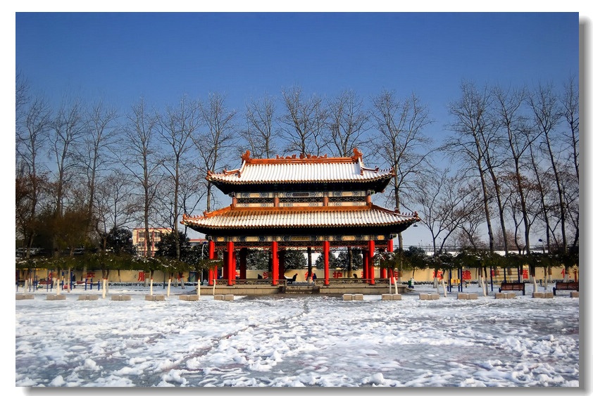 瑞  雪    ........