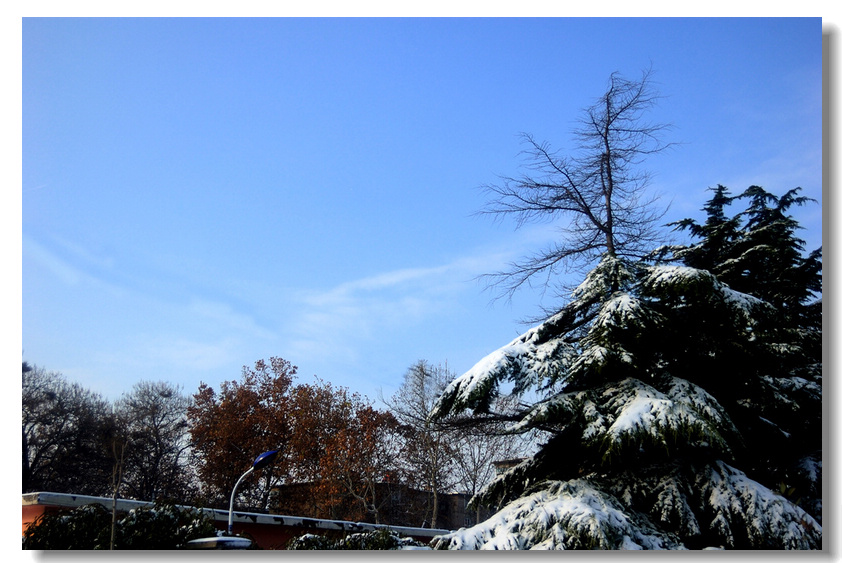瑞  雪    ........