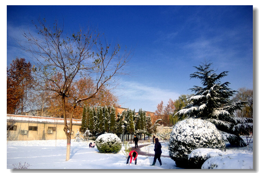 瑞  雪    ........