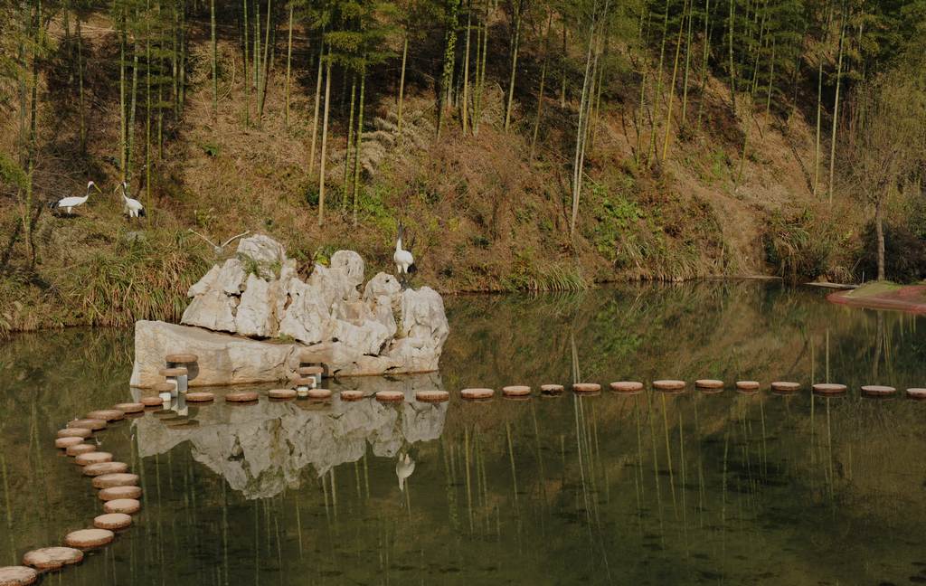 安吉竹海
