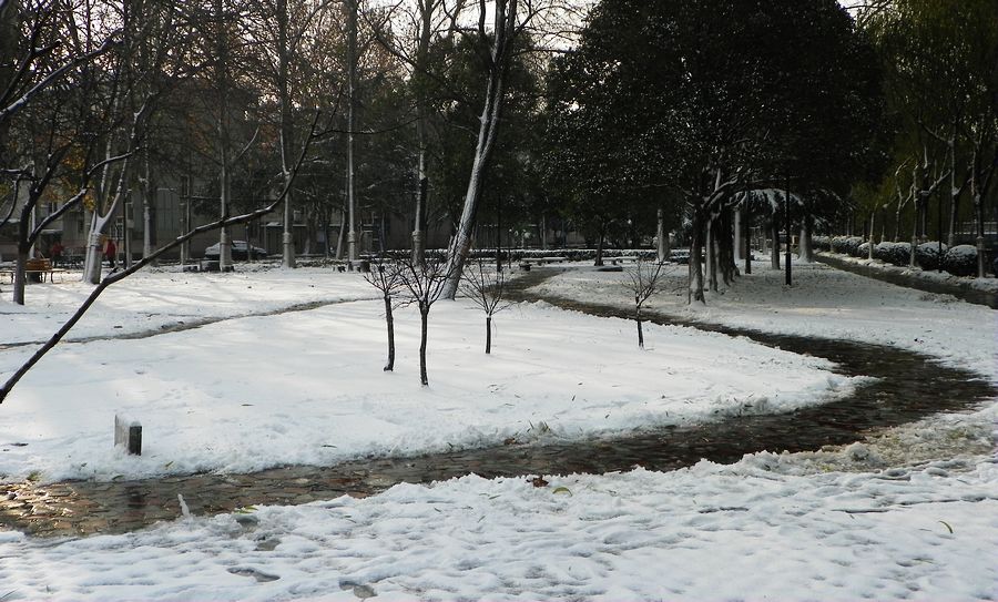 雪后
