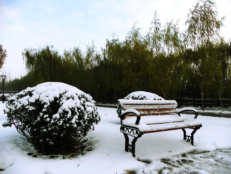雪后