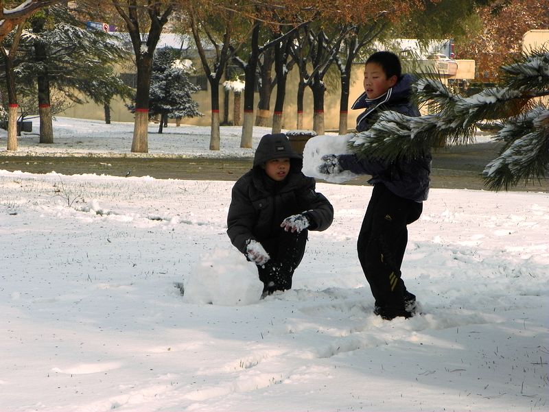 雪后