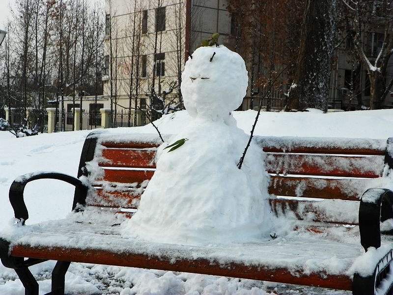 雪后
