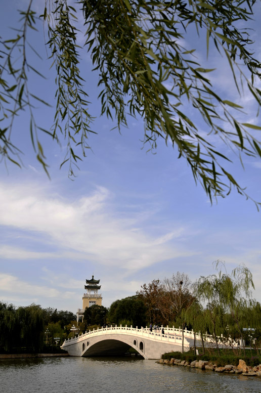 津门风光（散片）