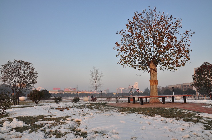 雪后晨光