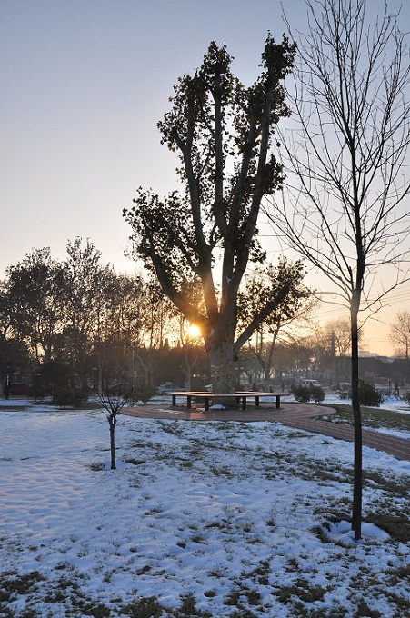 雪后晨光