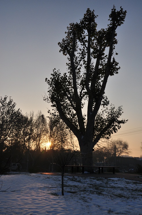雪后晨光
