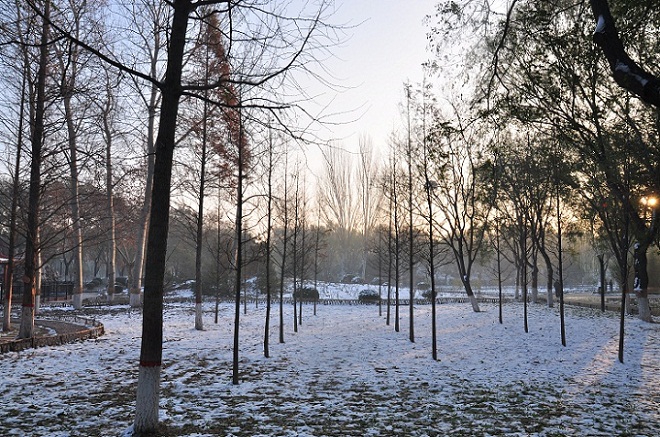 雪后晨光