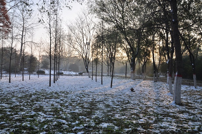 雪后晨光