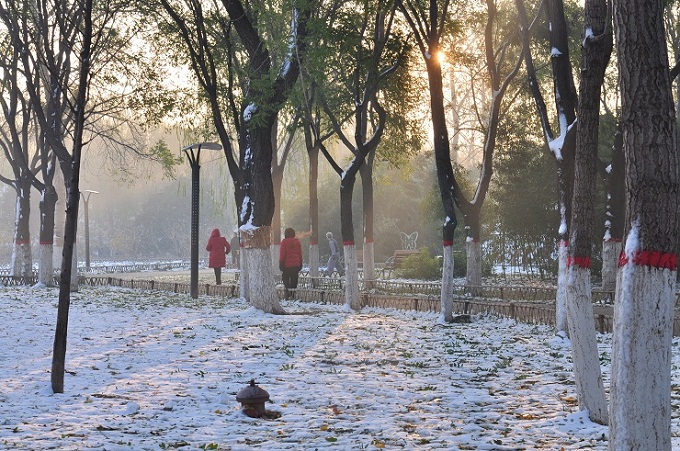 雪后晨光