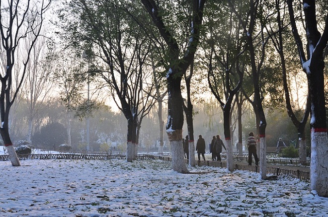 雪后晨光