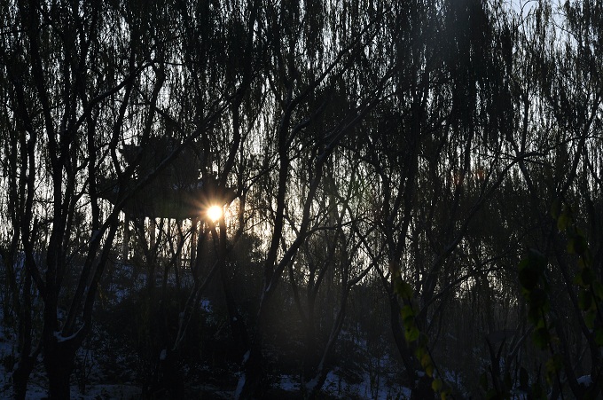 雪后晨光