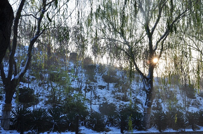 雪后晨光