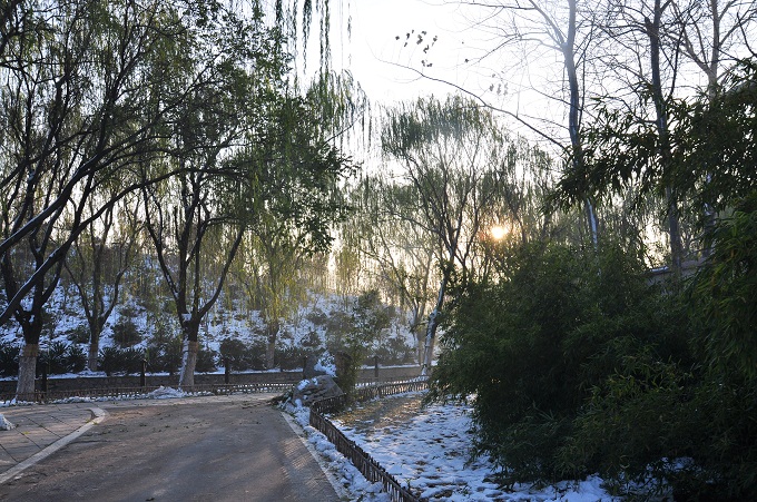 雪后晨光