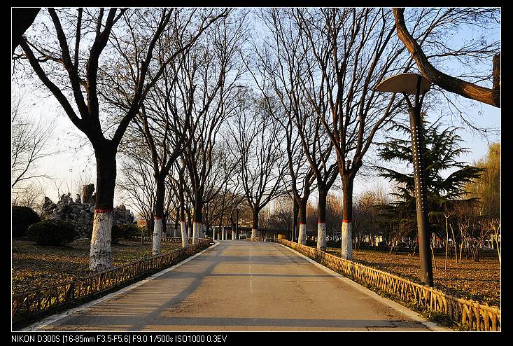 中原油城风光