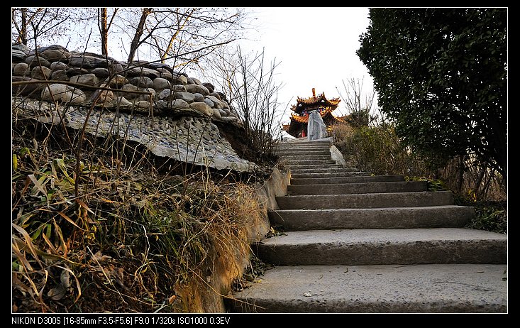 中原油城风光