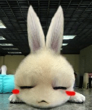 M0ZXioOD.gif