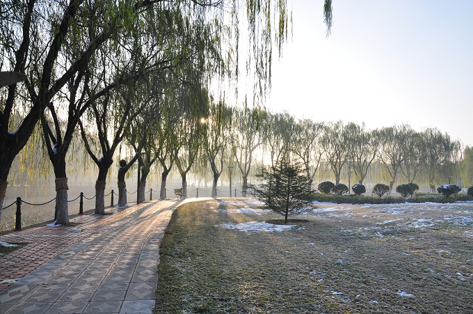 雪后晨光