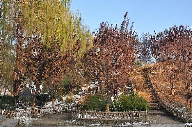 雪后晨光