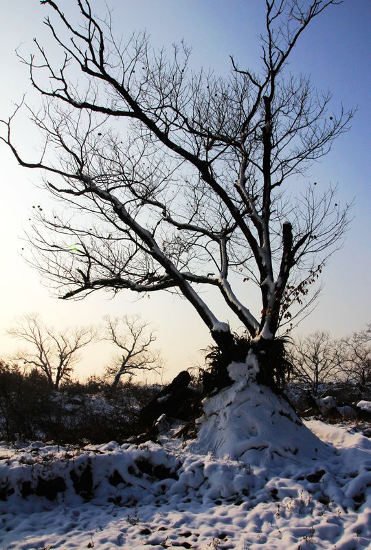 太行.初雪