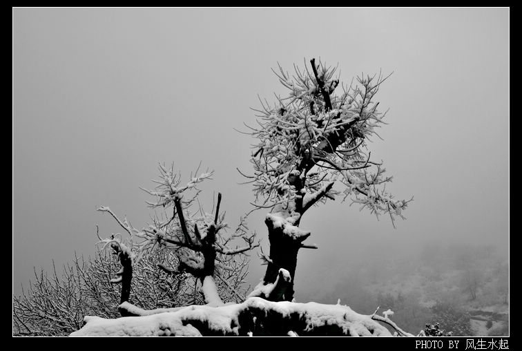 2011陕北雪