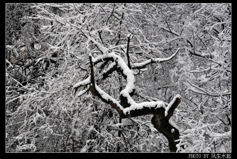 2011陕北雪