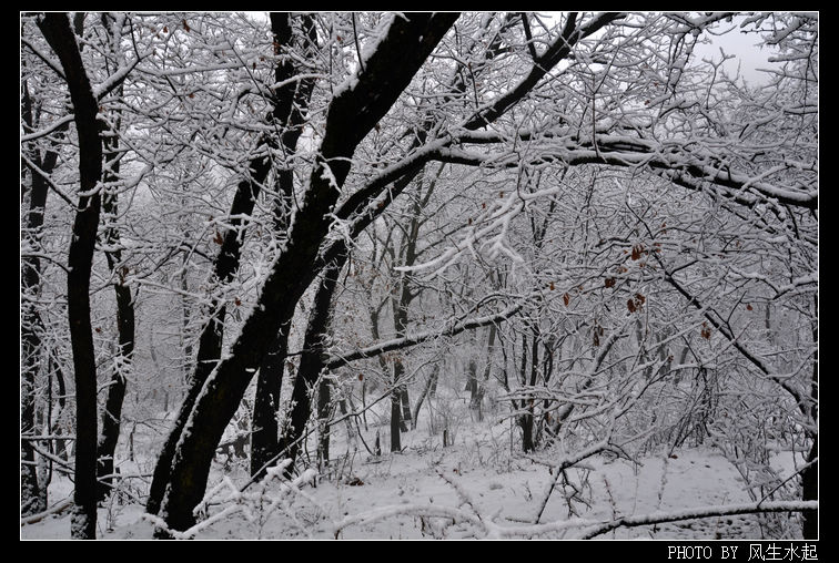 2011陕北雪