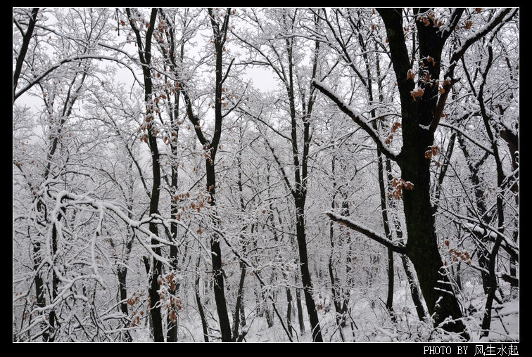2011陕北雪