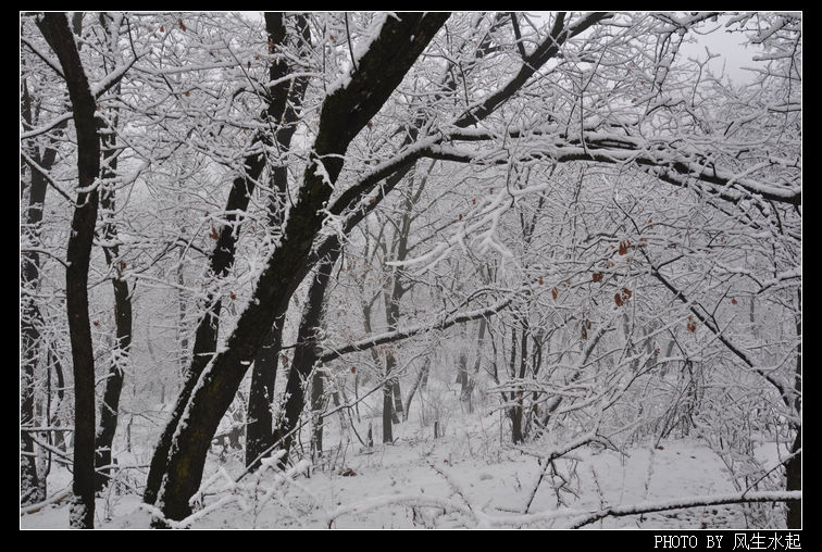 2011陕北雪